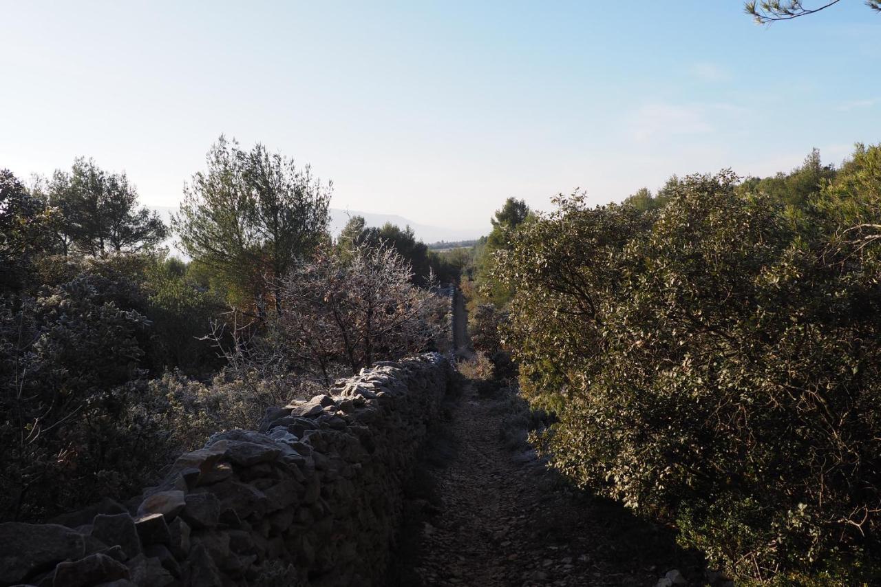 Chambres D'Hotes Le Relais Des Marmottes En Luberon Lagnes Exteriör bild